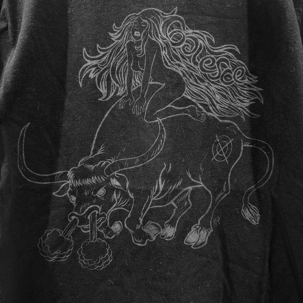 SOLD - Coalesce Wild Ox Moan Tour T-Shirt 2010 Men's  Large Midwest Hardcore KC